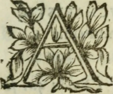 An illustration from Instrvctions chrestiennes et theologiqves; ov, Toute la doctrine de l'eucharistie est en peu de mots clairement expliquée. Auec trois pratiques tirées de diuers autheurs, l'vne pour bien communier, l'autre pour bien ouïr la messe, & la derniere pour bien visiter la s. Sacrement de l'autel. Par l'ordre de Messire Anne de Mvrviel, 1646, leaf 284