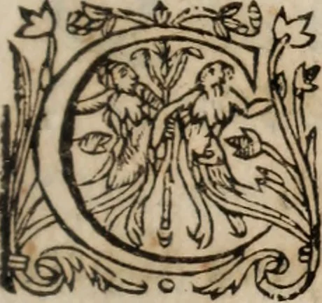 An illustration from Insulana, 1635, leaf 122