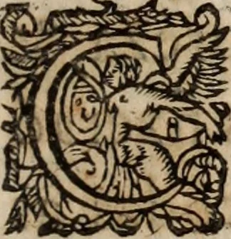 An illustration from Insulana, 1635, leaf 16