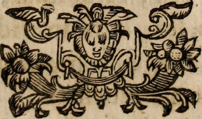An illustration from Insulana, 1635, leaf 166