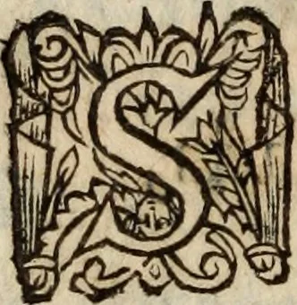 An illustration from Insulana, 1635, leaf 211