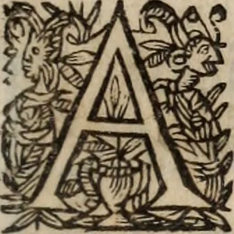 An illustration from Insulana, 1635, leaf 24