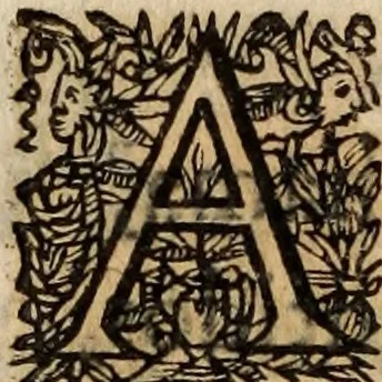 An illustration from Insulana, 1635, leaf 307