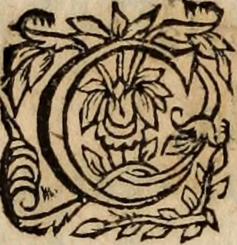 An illustration from Insulana, 1635, leaf 401