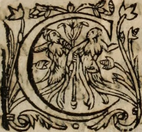 An illustration from Insulana, 1635, leaf 6
