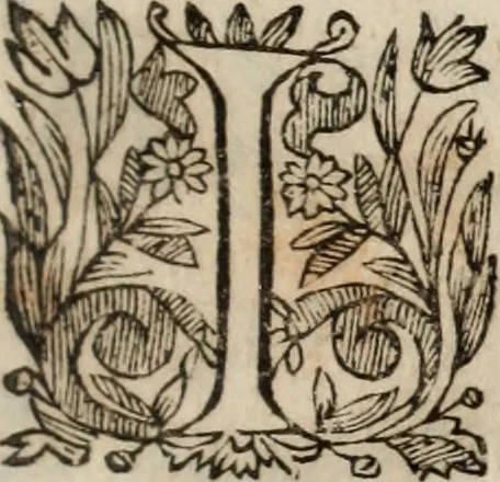 An illustration from Insulana, 1635, leaf 66