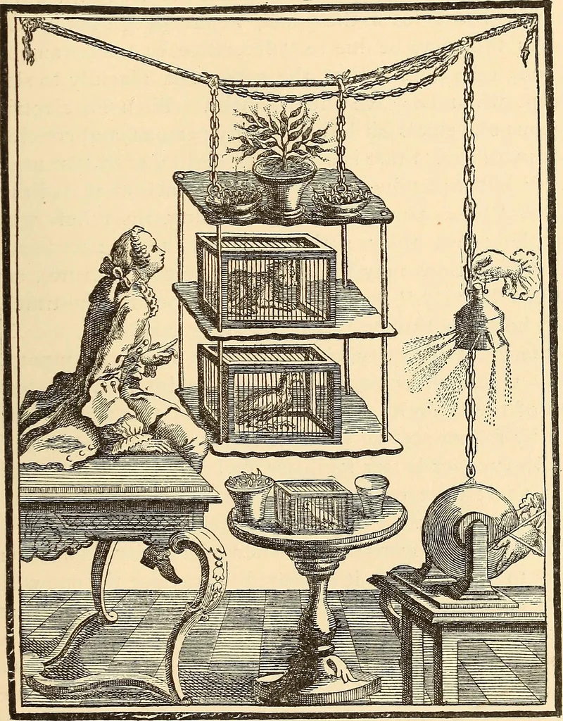 An illustration from The intellectual rise in electricity; a history, 1895, leaf 538