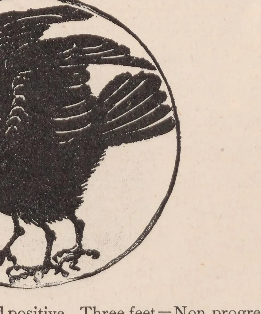 An illustration from Intelligence, 1897, leaf 33
