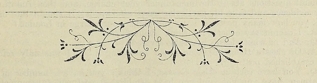 An illustration from The inter-departmental committee on post office establishments: being a verbatim report of the evidence given before Lord Tweedmouth and committee, 1896, leaf 525