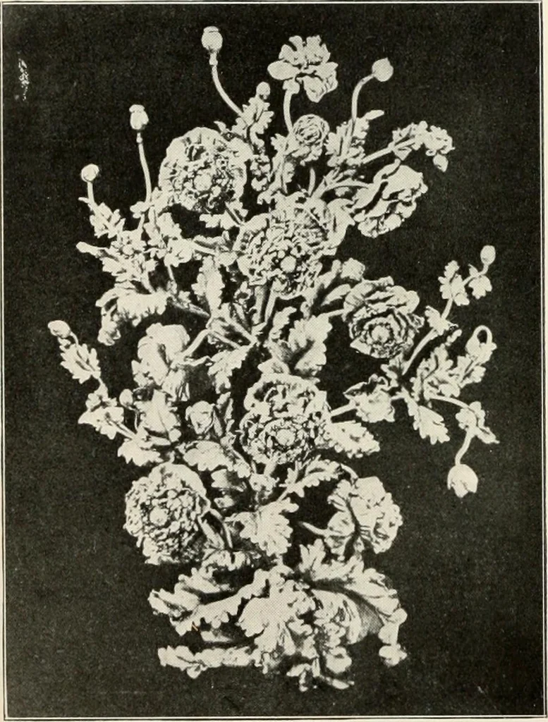 An illustration from The interdependence of the arts of design; a series of six lectures delivered at the Art Institute of Chicago, being the Scammon lectures for 1904, 1905, leaf 145