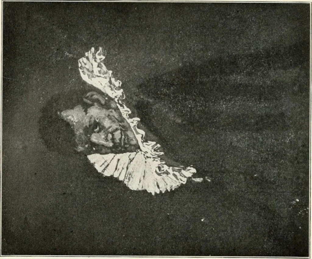 An illustration from The interdependence of the arts of design; a series of six lectures delivered at the Art Institute of Chicago, being the Scammon lectures for 1904, 1905, leaf 81