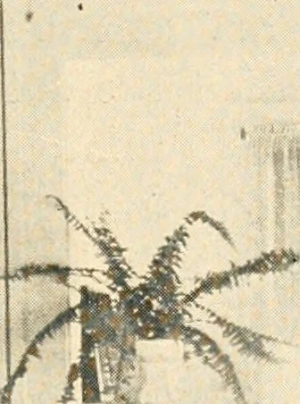 An illustration from Interiors beautiful and the decoration of the home, 1922, leaf 138