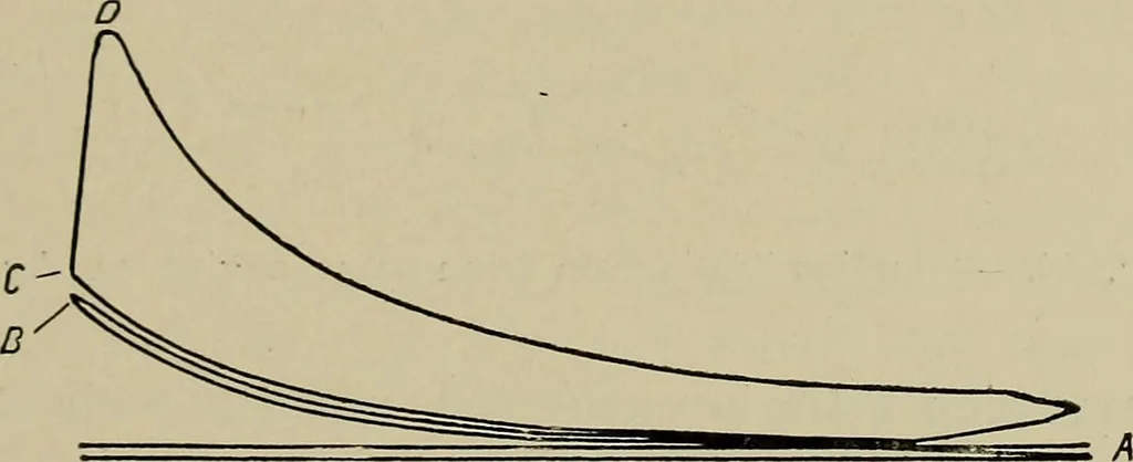 An illustration from The internal combustion engine; a text-book for the use of students and engineers, 1915, leaf 172