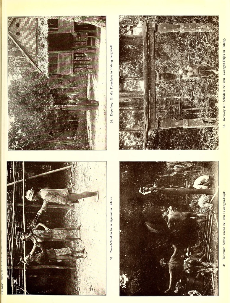 An illustration from Internationales Archiv für Ethnographie, 1888, leaf 331