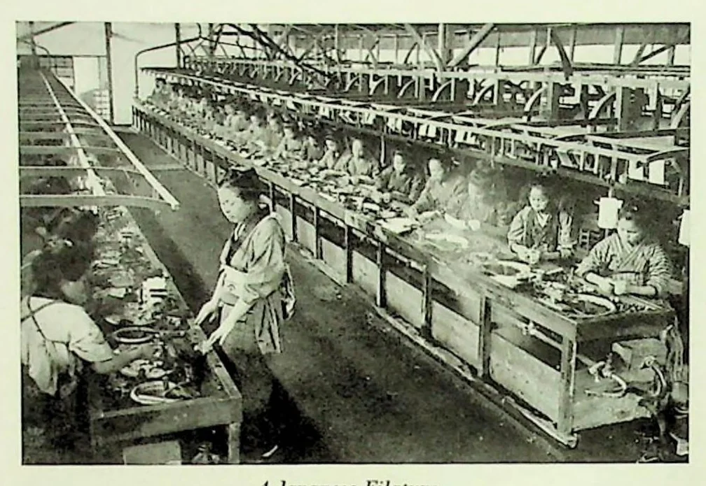 An illustration from International Acceptance Bank Textile Raw Materials 1924, 1924, leaf 105