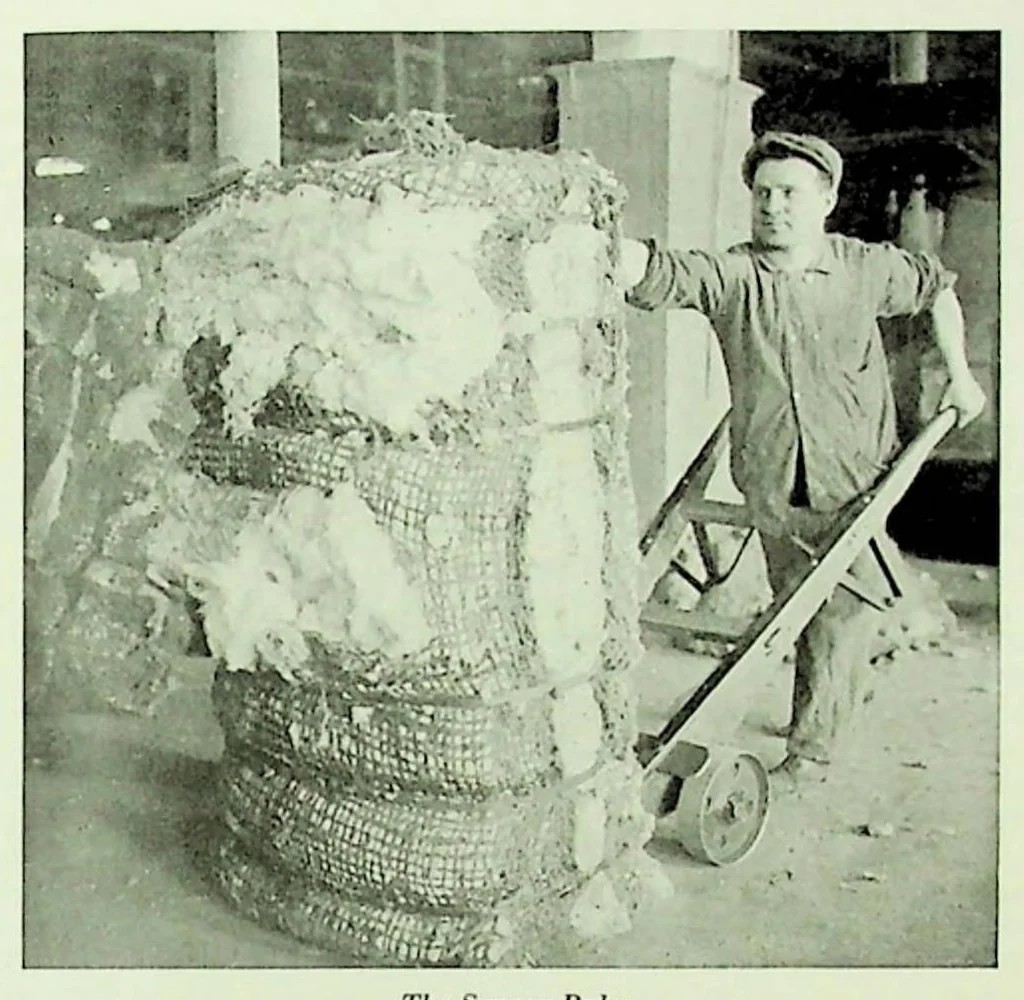 An illustration from International Acceptance Bank Textile Raw Materials 1924, 1924, leaf 16