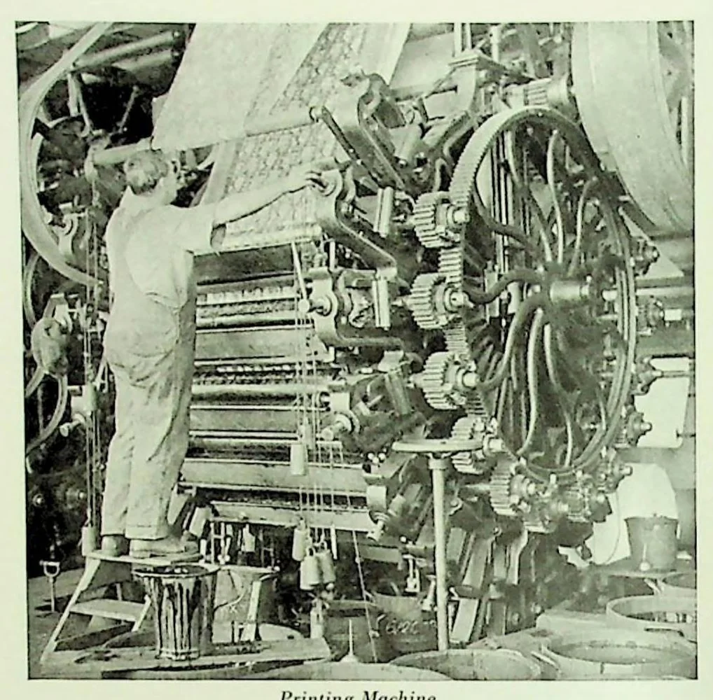 An illustration from International Acceptance Bank Textile Raw Materials 1924, 1924, leaf 43