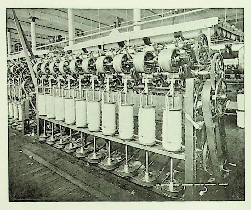An illustration from International Acceptance Bank Textile Raw Materials 1924, 1924, leaf 77