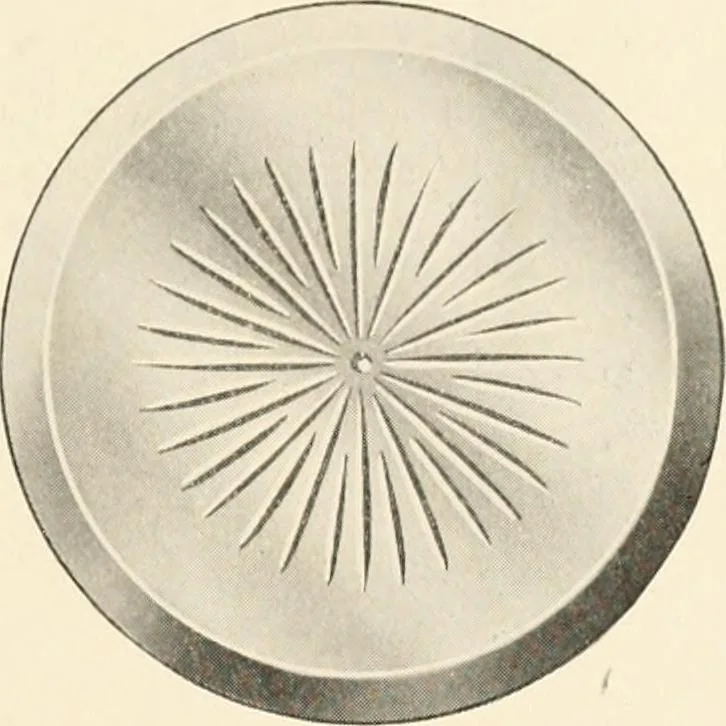 An illustration from International art glass catalogue : art and beveled glass in all its branches : church, memorial, society and domestic windows, Art Nouveau, prism, mitre beveled plate, leaded bevel, etc., 1914, leaf 34