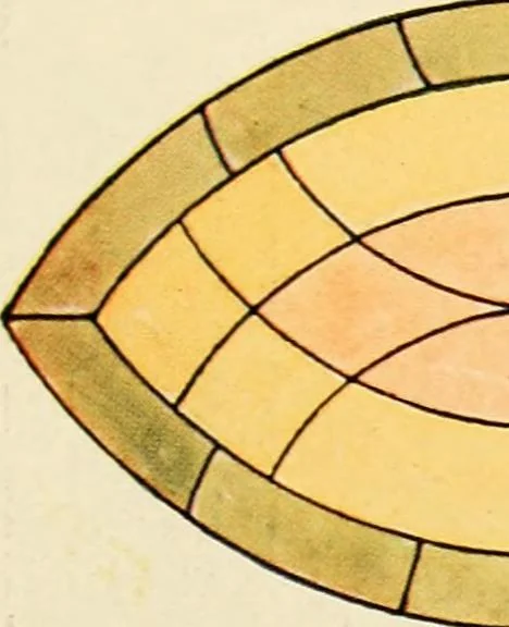 An illustration from International art glass catalogue : art and beveled glass in all its branches : church, memorial, society and domestic windows, Art Nouveau, prism, mitre beveled plate, leaded bevel, etc., 1914, leaf 60