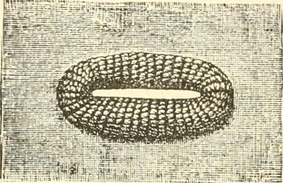 An illustration from The international encyclopedia of scientific tailor principles, for all kinds and styles of garment-making ... Also designing ... embroidery, crocheting, knitting, worsted work, fancy and artistic needle work .., 1885, leaf 153