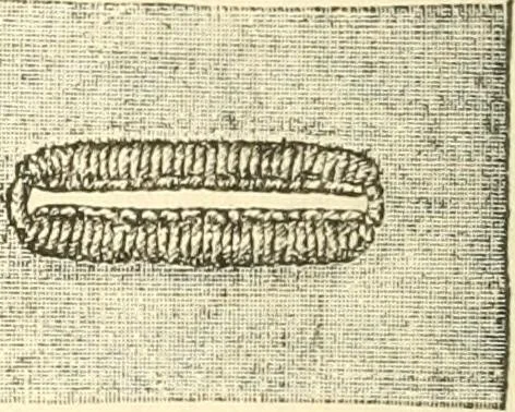 An illustration from The international encyclopedia of scientific tailor principles, for all kinds and styles of garment-making ... Also designing ... embroidery, crocheting, knitting, worsted work, fancy and artistic needle work .., 1885, leaf 153