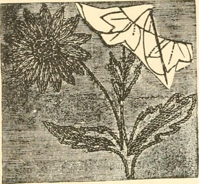 An illustration from The international encyclopedia of scientific tailor principles, for all kinds and styles of garment-making ... Also designing ... embroidery, crocheting, knitting, worsted work, fancy and artistic needle work .., 1885, leaf 175