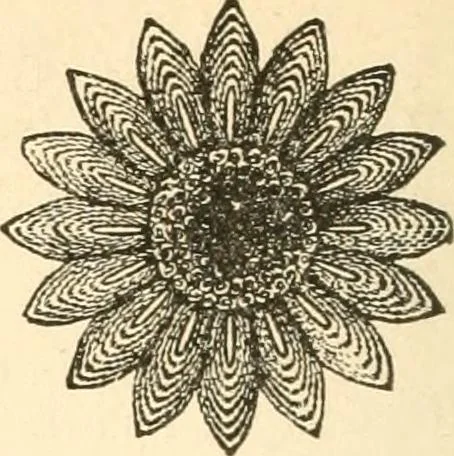 An illustration from The international encyclopedia of scientific tailor principles, for all kinds and styles of garment-making ... Also designing ... embroidery, crocheting, knitting, worsted work, fancy and artistic needle work .., 1885, leaf 175