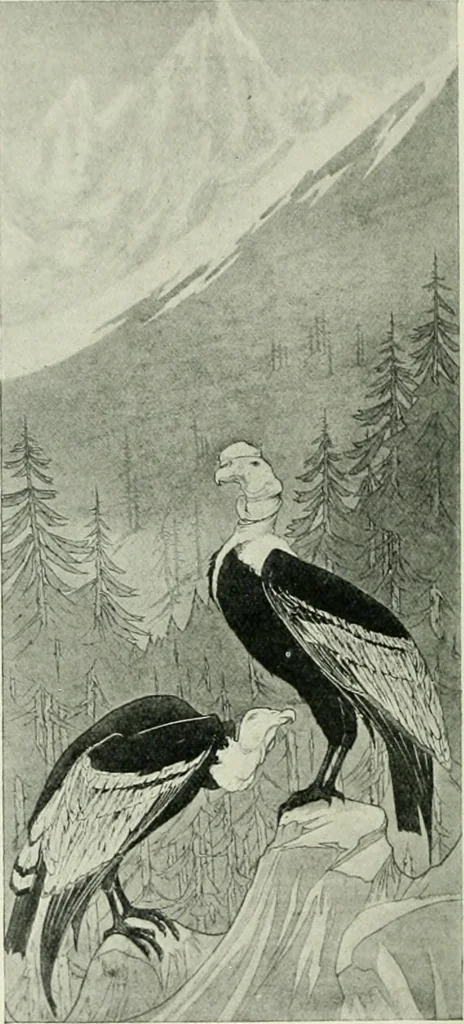 An illustration from International studio, 1897, leaf 115