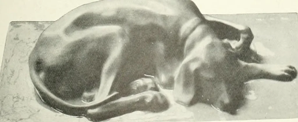An illustration from International studio, 1897, leaf 124