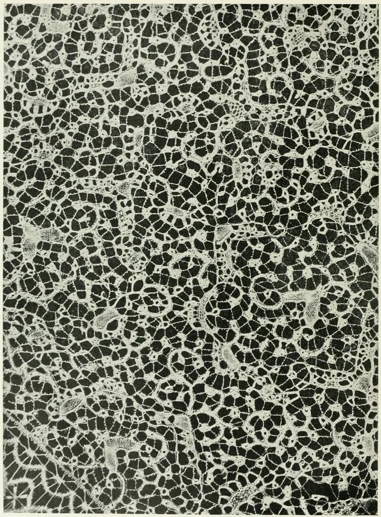 An illustration from International studio, 1897, leaf 161