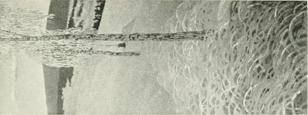 An illustration from International studio, 1897, leaf 234
