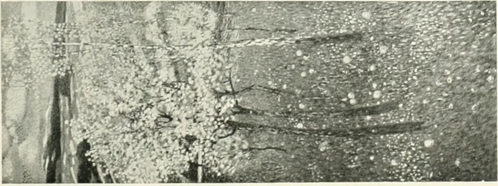 An illustration from International studio, 1897, leaf 234