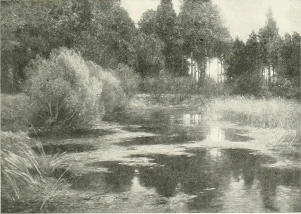 An illustration from International studio, 1897, leaf 238
