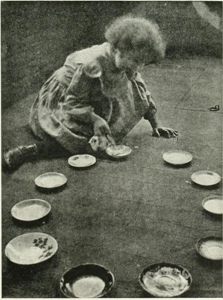 An illustration from International studio, 1897, leaf 320