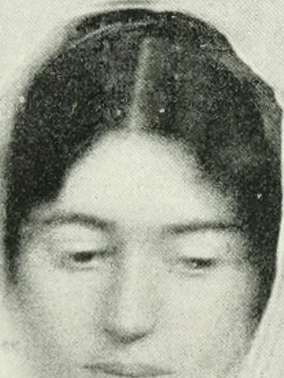 An illustration from International studio, 1897, leaf 324