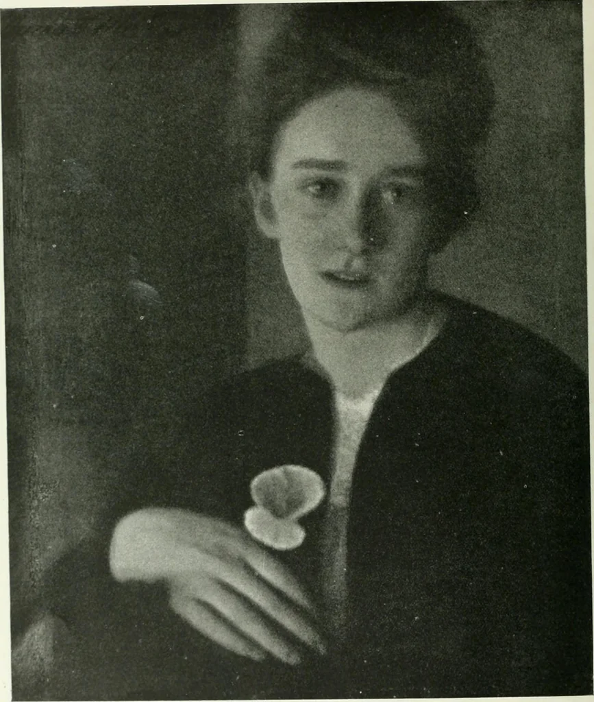 An illustration from International studio, 1897, leaf 325