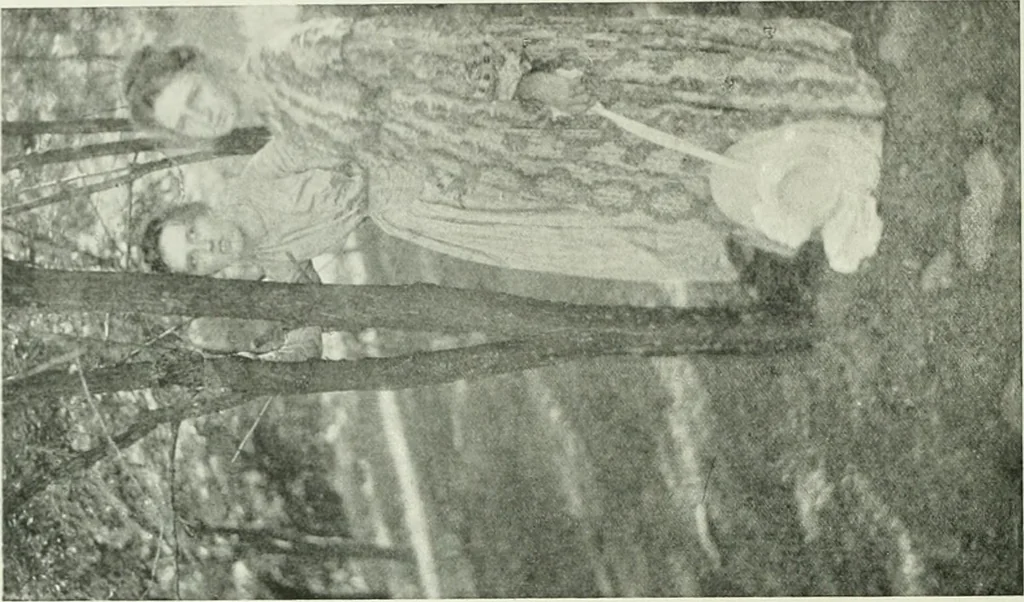An illustration from International studio, 1897, leaf 335