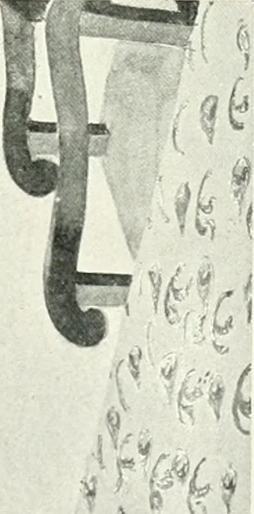 An illustration from International studio, 1897, leaf 450
