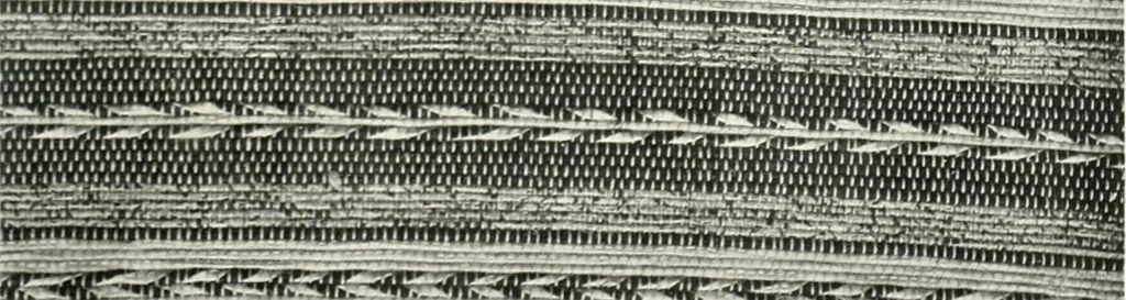 An illustration from International studio, 1897, leaf 48