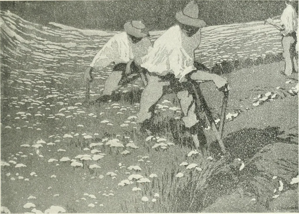 An illustration from International studio, 1897, leaf 70