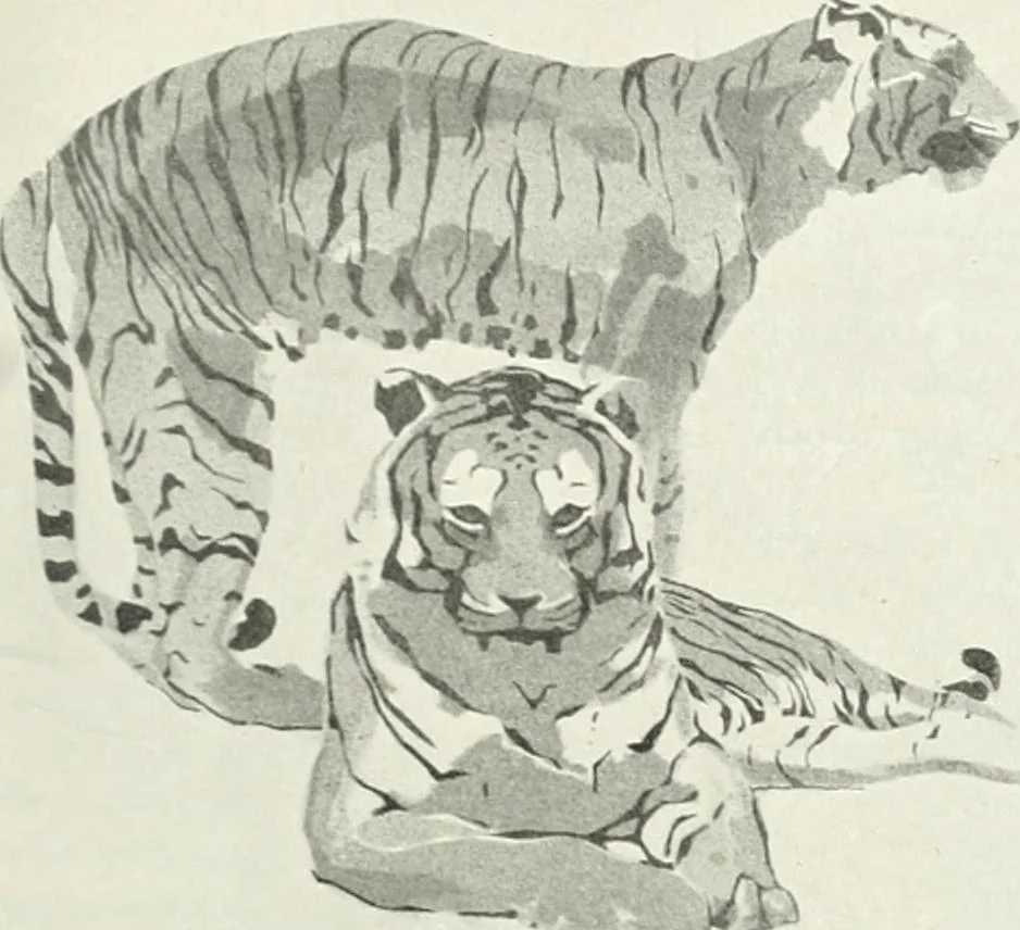 An illustration from International studio, 1897, leaf 74