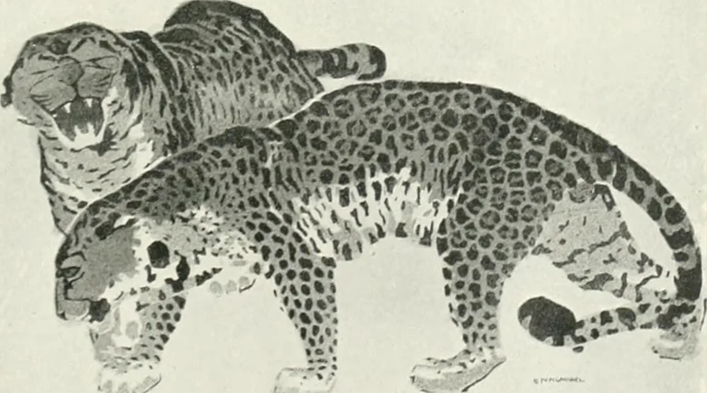 An illustration from International studio, 1897, leaf 74
