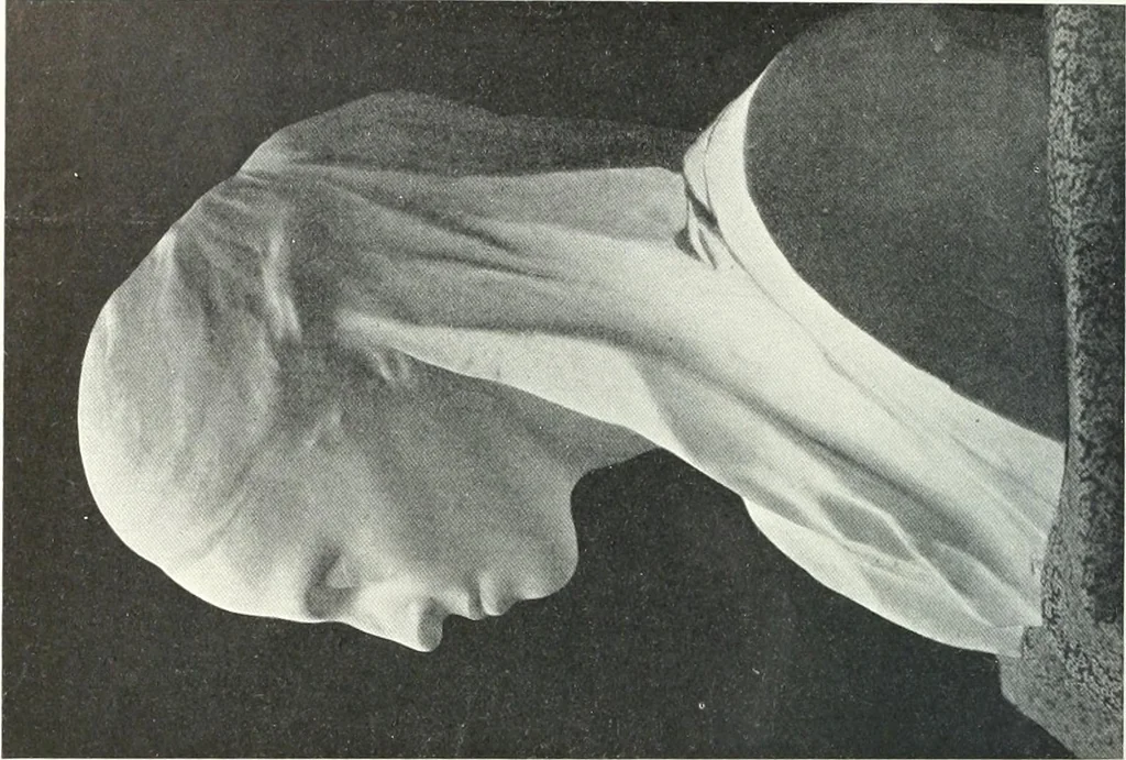 An illustration from International studio, 1897, leaf 123