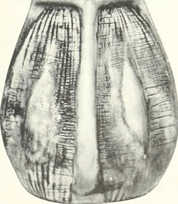 An illustration from International studio, 1897, leaf 124