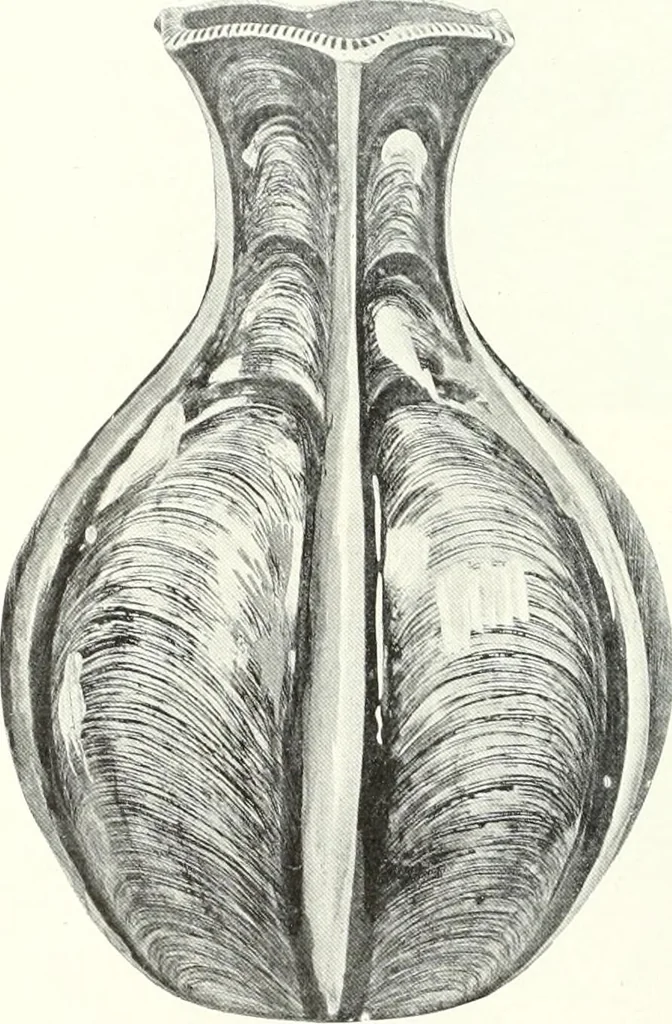 An illustration from International studio, 1897, leaf 125