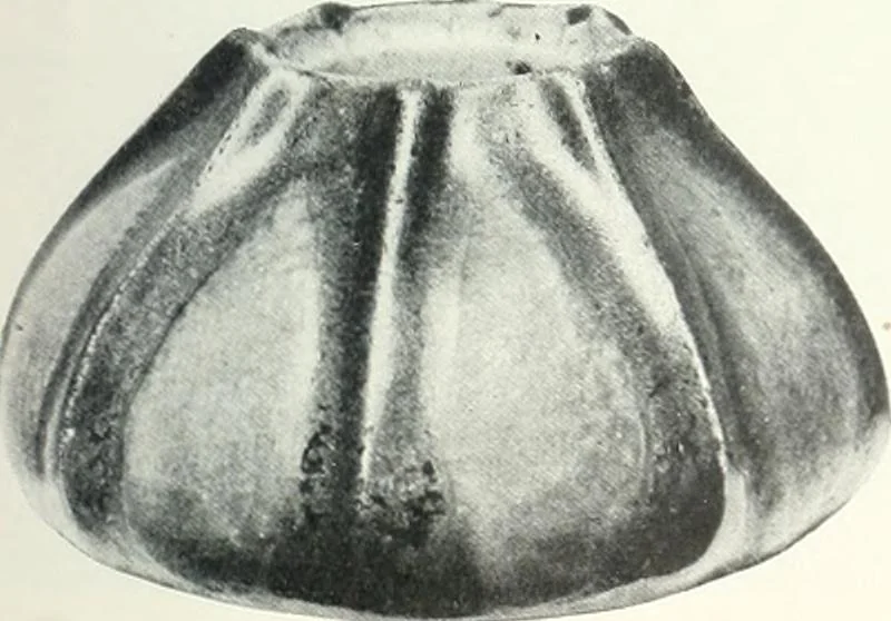 An illustration from International studio, 1897, leaf 128