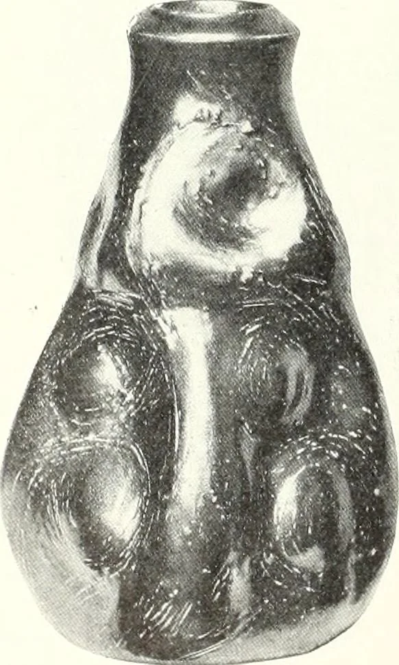 An illustration from International studio, 1897, leaf 129