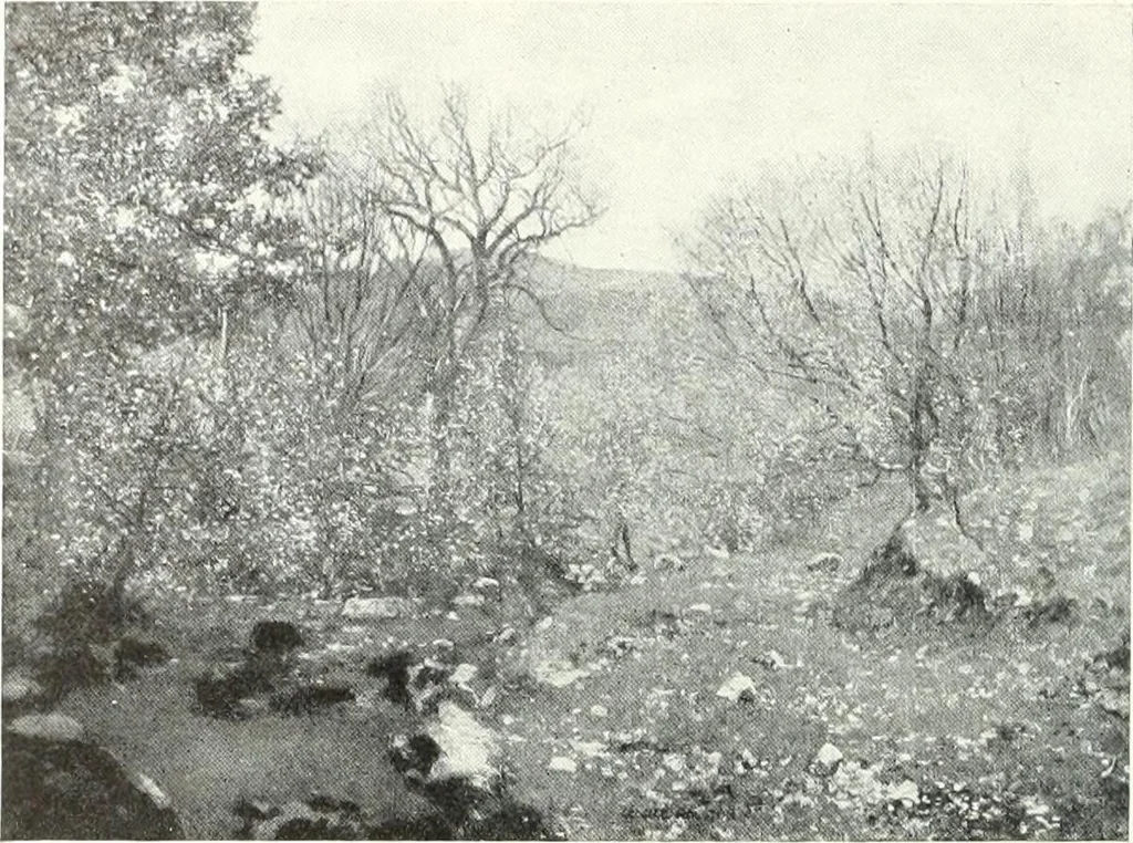 An illustration from International studio, 1897, leaf 149