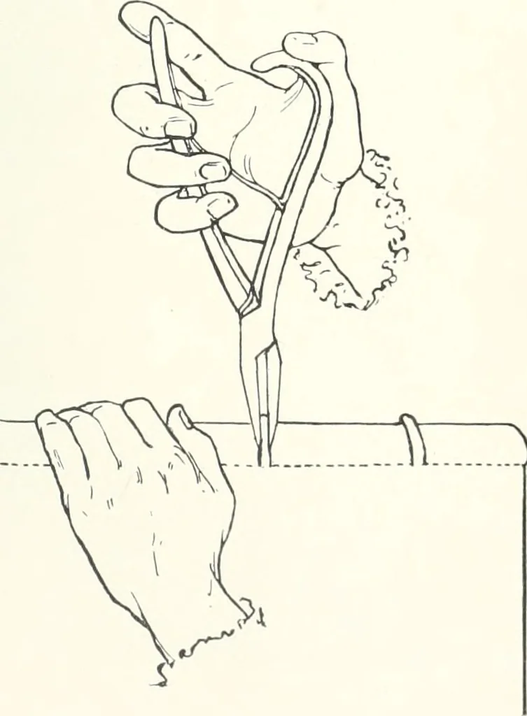 An illustration from International studio, 1897, leaf 416